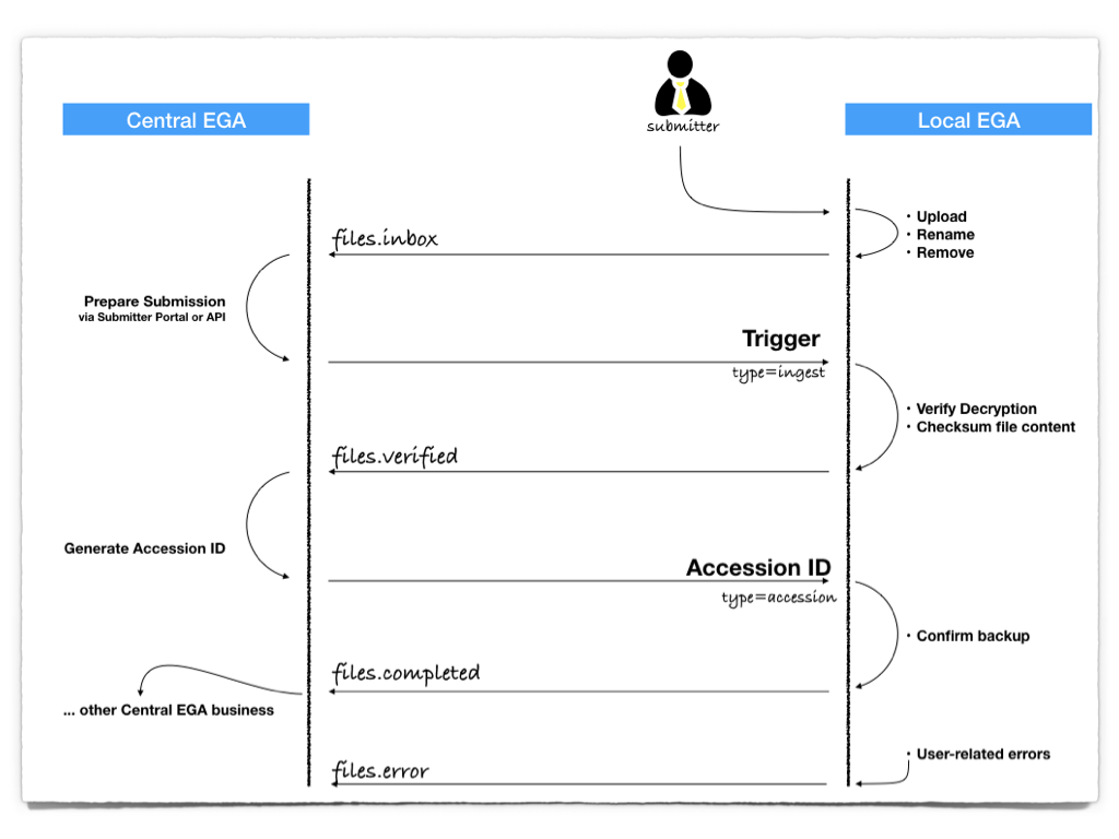 Flow of RabbitMQ messages
